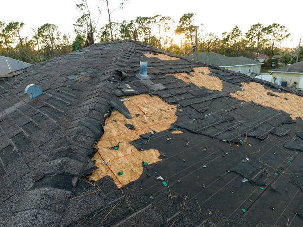 Best Green or Eco-Friendly Roofing Solutions  in Hickory Hls, IL